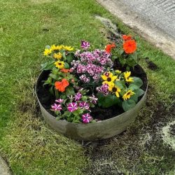 flower bed company. in dublin ireland(2) copy 2