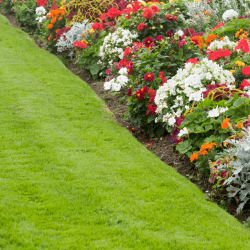 flower beds installation company in dublin copy