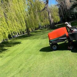 landscaping maintenance grass cutting lawn care01 18