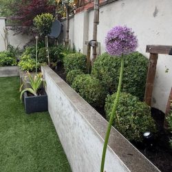 planting & garden beds ireland pslm 221