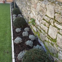 planting & garden beds ireland pslm 222