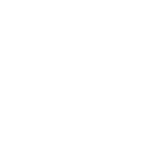 pslandscapingmaintenance.ie site logo white