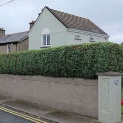 regular hedge trimming in dublin ireland _909